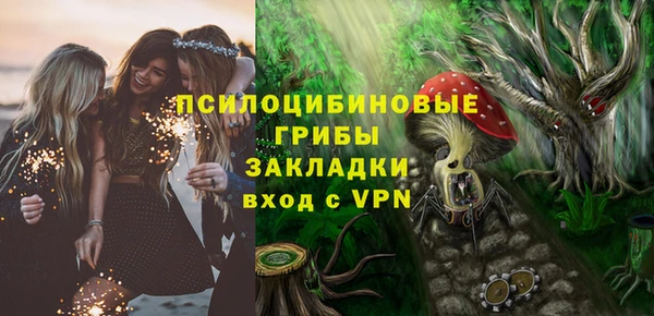 тгк Абинск