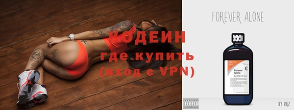 прущий лед Алзамай