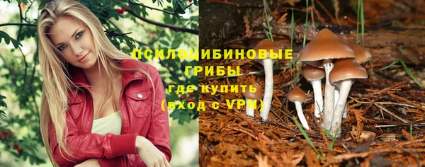 дмт Абдулино