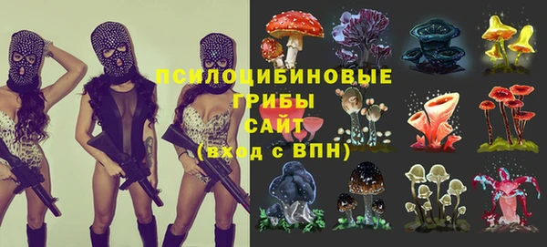тгк Абинск